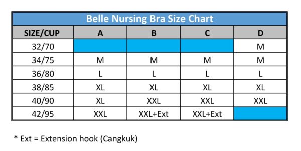 Belle Series (no-clip) sleeping nursing bra (2 pack)